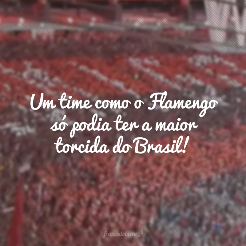 Um time como o Flamengo só podia ter a maior torcida do Brasil!