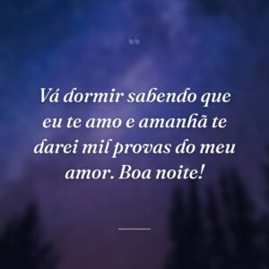 Vá dormir sabendo que eu te amo e amanhã te darei mil provas do meu amor. Boa noite!