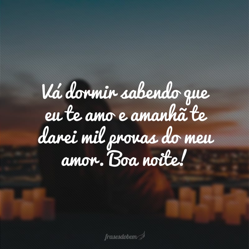 Vá dormir sabendo que eu te amo e amanhã te darei mil provas do meu amor. Boa noite!