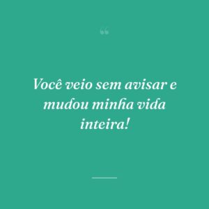 Você veio sem avisar e mudou minha vida inteira!