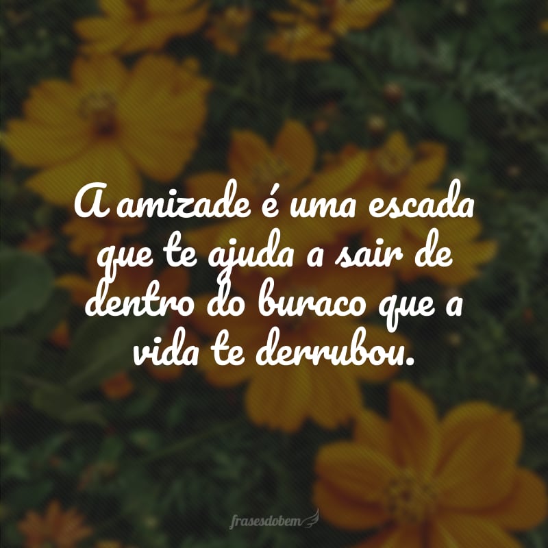 A amizade é uma escada que te ajuda a sair de dentro do buraco que a vida te derrubou.