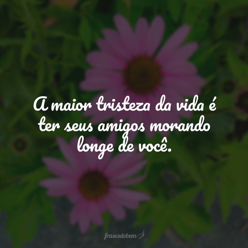 A maior tristeza da vida é ter seus amigos morando longe de você.