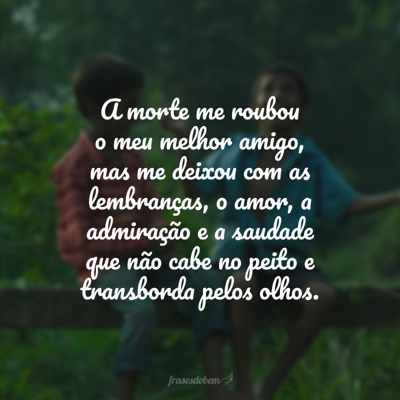 A morte me roubou o meu melhor amigo, mas me deixou com as lembranças, o amor, a admiração e a saudade que não cabe no peito e transborda pelos olhos. 