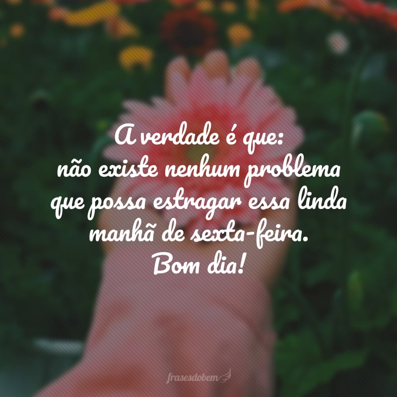 A verdade é que: não existe nenhum problema que possa estragar essa linda manhã de sexta-feira. Bom dia!