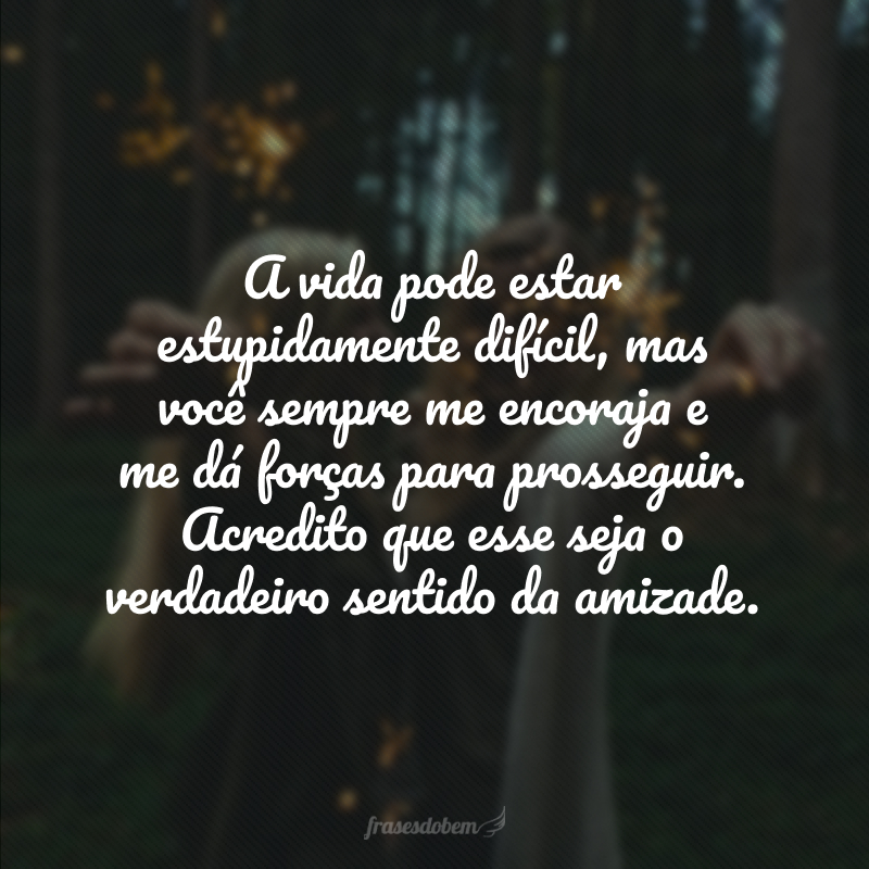 A vida pode estar estupidamente difícil, mas você sempre me encoraja e me dá forças para prosseguir. Acredito que esse seja o verdadeiro sentido da amizade. 