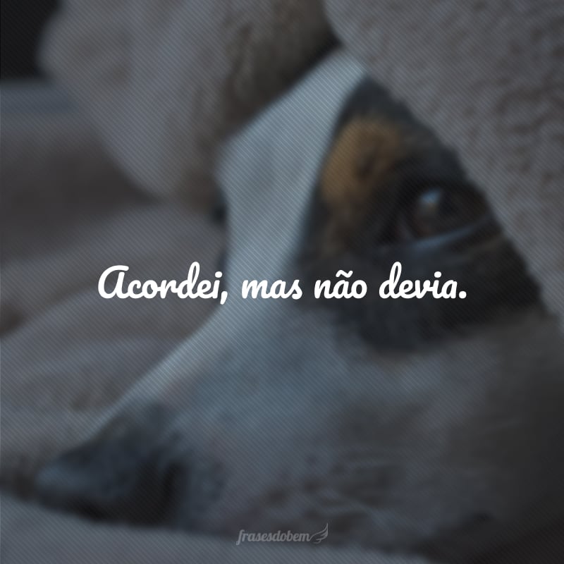 Acordei, mas não devia.