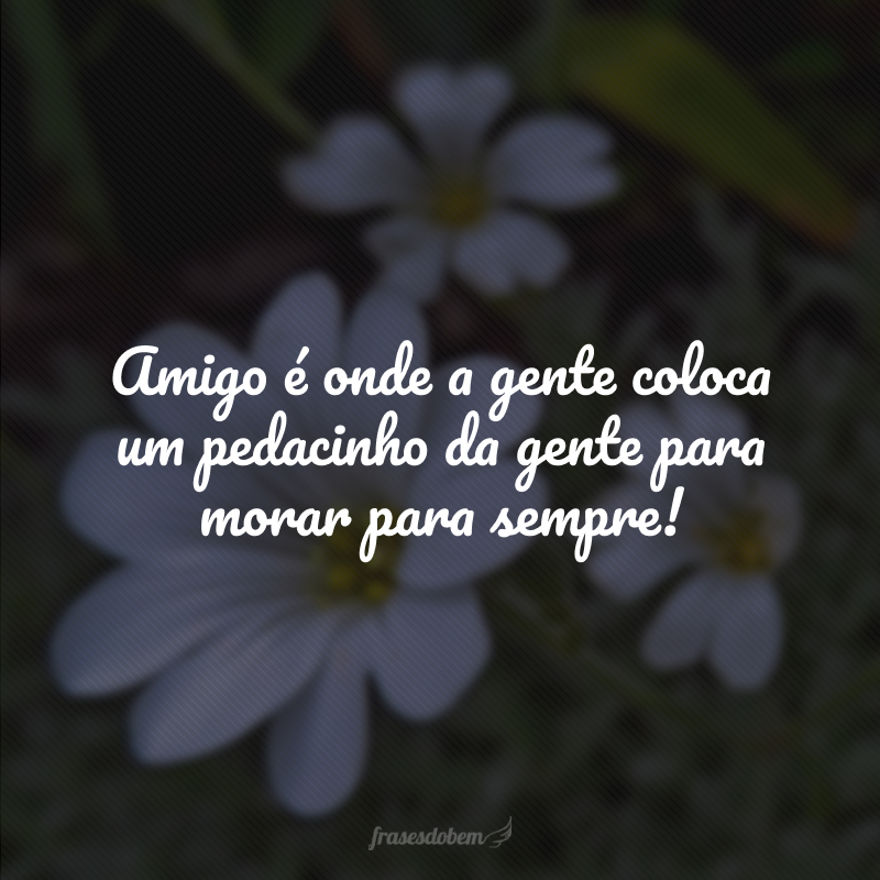 Amigo é onde a gente coloca um pedacinho da gente para morar para sempre!