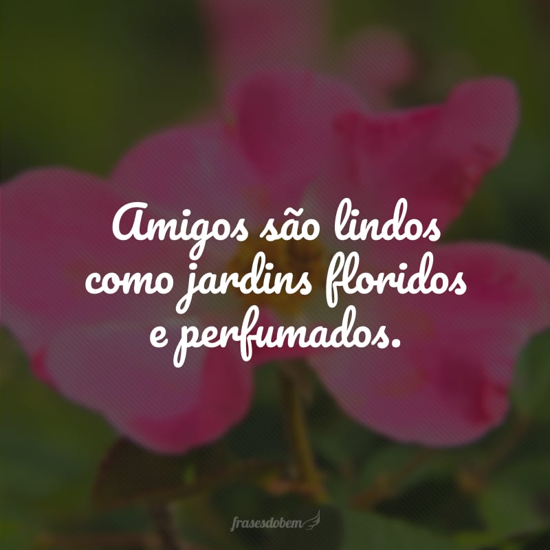 Amigos são lindos como jardins floridos e perfumados.