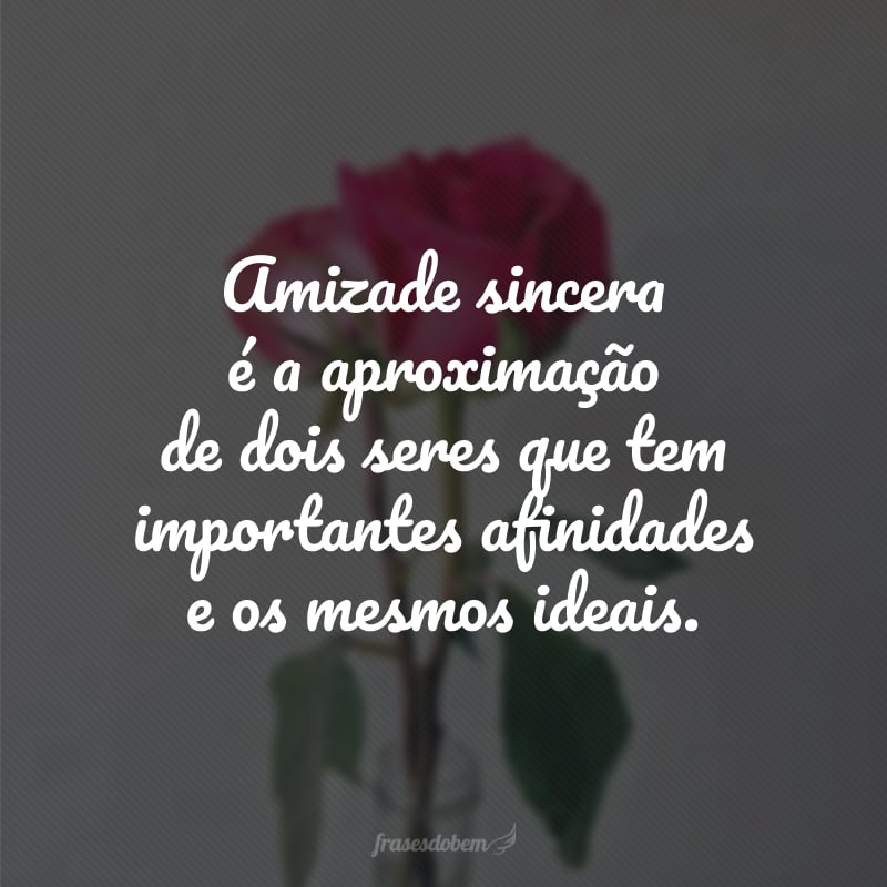 Amizade sincera é a aproximação de dois seres que tem importantes afinidades e os mesmos ideais.