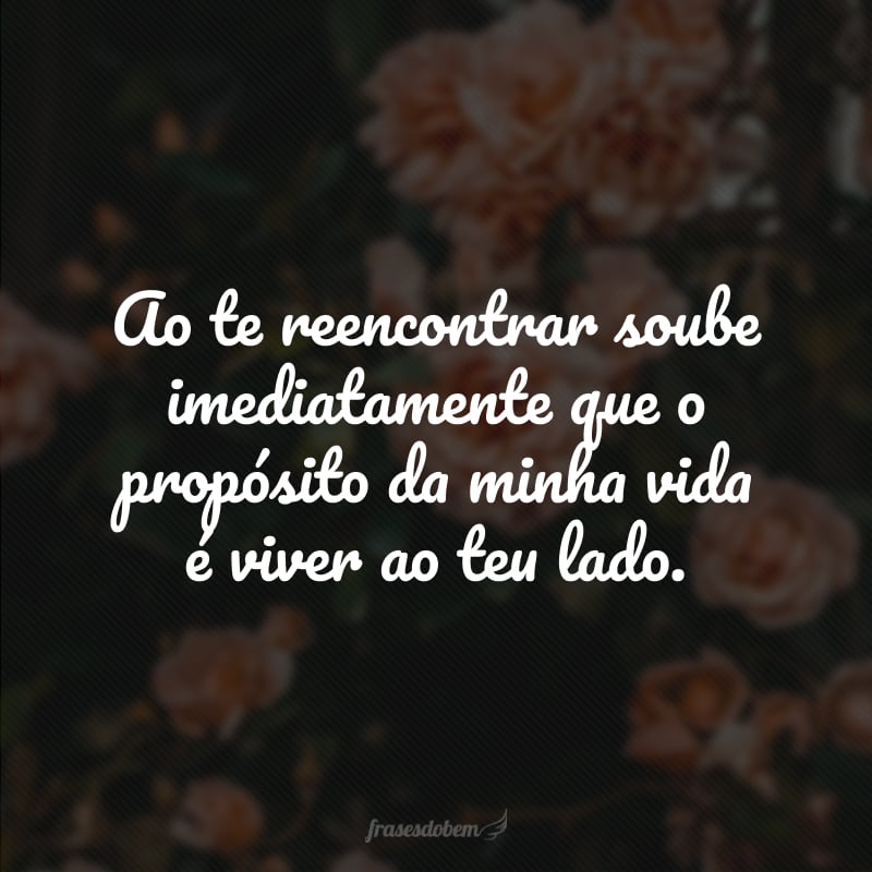 Ao te reencontrar soube imediatamente que o propósito da minha vida é viver ao teu lado. 