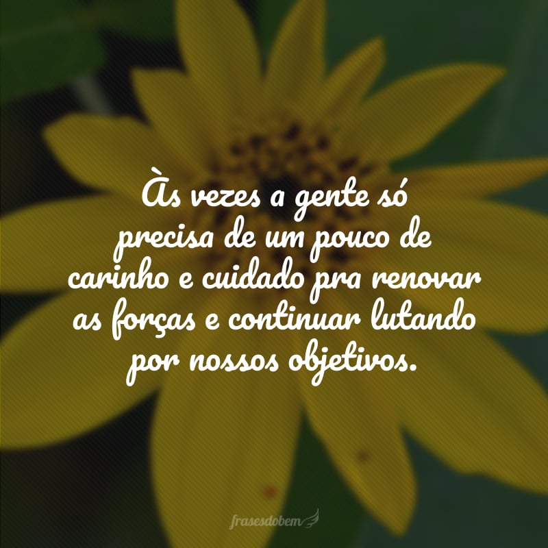 Às vezes a gente só precisa de um pouco de carinho e cuidado pra renovar as forças e continuar lutando por nossos objetivos.