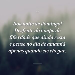 Boa noite de domingo! Desfrute do tempo de liberdade que ainda resta e pense no dia de amanhã apenas quando ele chegar.