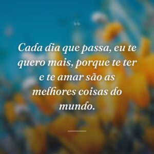 Cada dia que passa, eu te quero mais, porque te ter e te amar são as melhores coisas do mundo.