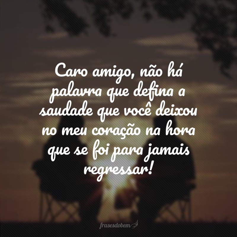 Caro amigo, não há palavra que defina a saudade que você deixou no meu coração na hora que se foi para jamais regressar! 