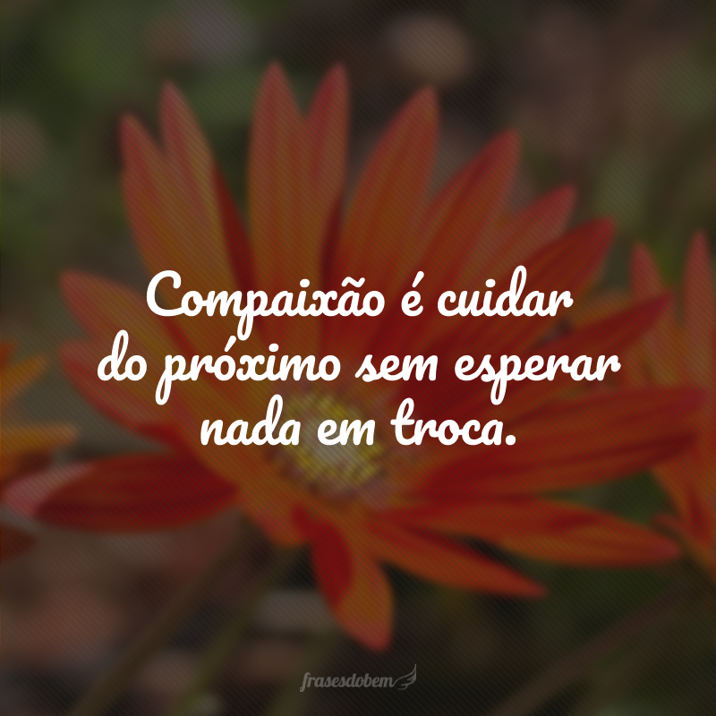 Compaixão é cuidar do próximo sem esperar nada em troca. 