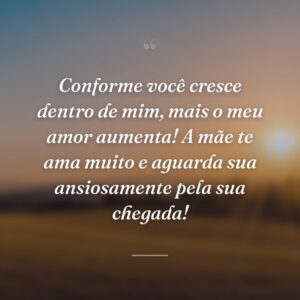 Conforme você cresce dentro de mim, mais o meu amor aumenta! A mãe te ama muito e aguarda sua ansiosamente pela sua chegada!