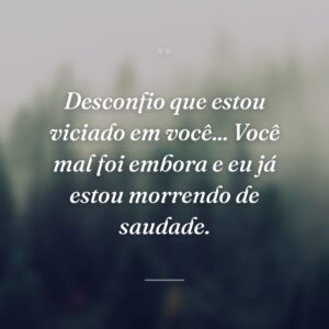 Desconfio que estou viciado em você... Você mal foi embora e eu já estou morrendo de saudade.