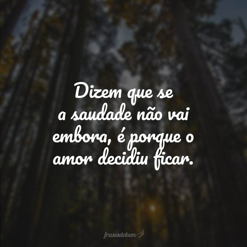 Dizem que se a saudade não vai embora, é porque o amor decidiu ficar.