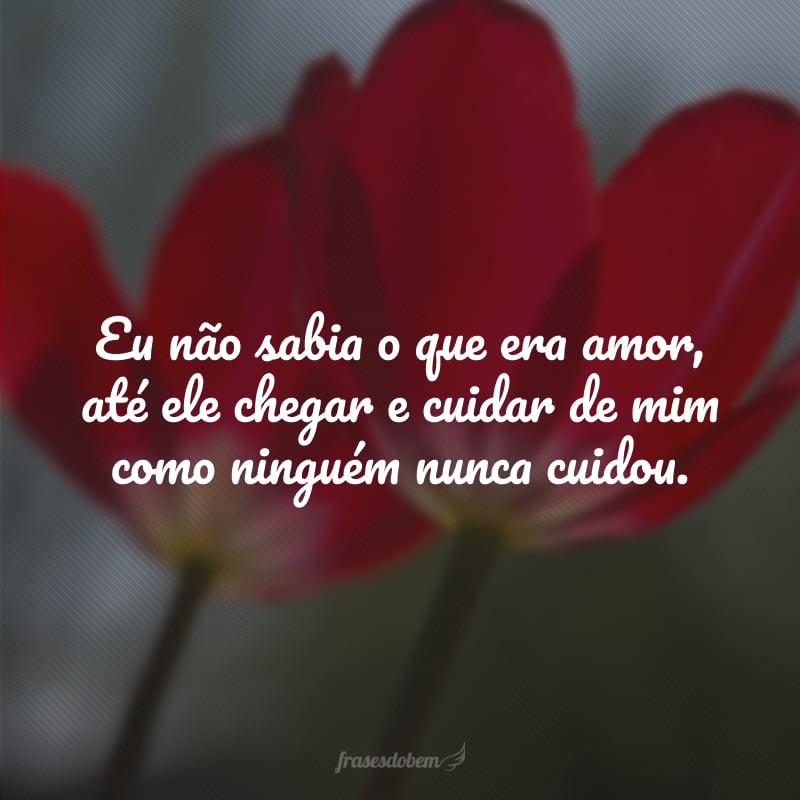 Eu não sabia o que era amor, até ele chegar e cuidar de mim como ninguém nunca cuidou. 