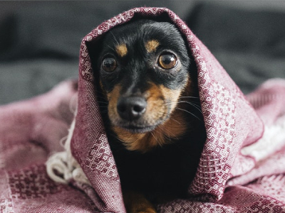 50 frases de boa noite com frio para dormir na cama quentinha