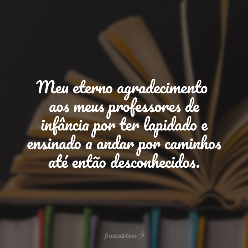 Meu eterno agradecimento aos meus professores de infância por ter lapidado e ensinado a andar por caminhos até então desconhecidos.