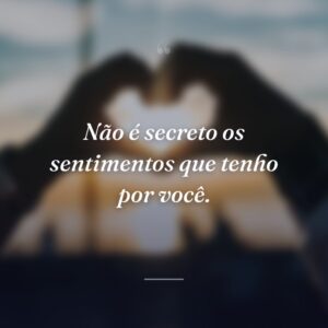 Não é secreto os sentimentos que tenho por você.