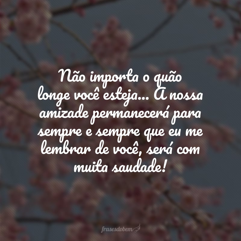 Não importa o quão longe você esteja... A nossa amizade permanecerá para sempre e sempre que eu me lembrar de você, será com muita saudade! 