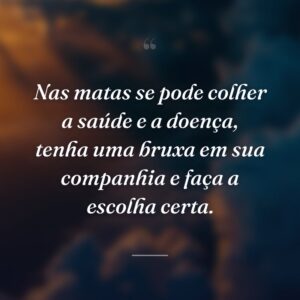 Nas matas se pode colher a saúde e a doença, tenha uma bruxa em sua companhia e faça a escolha certa.
