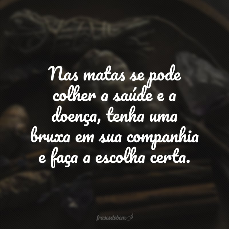 Nas matas se pode colher a saúde e a doença, tenha uma bruxa em sua companhia e faça a escolha certa.