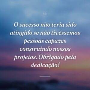 O sucesso não teria sido atingido se não tivéssemos pessoas capazes construindo nossos projetos. Obrigado pela dedicação!