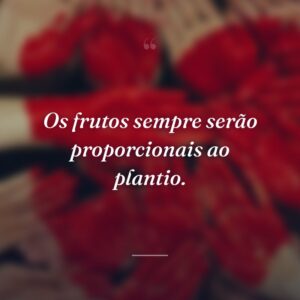 Os frutos sempre serão proporcionais ao plantio.
