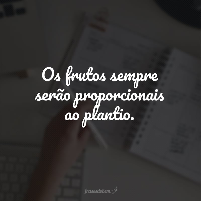 Os frutos sempre serão proporcionais ao plantio.