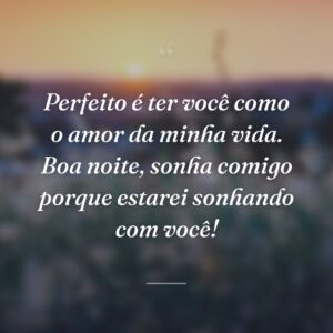 Perfeito é ter você como o amor da minha vida. Boa noite, sonha comigo porque estarei sonhando com você!