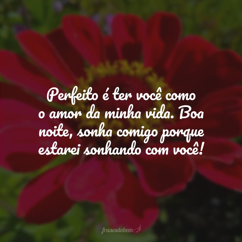 Perfeito é ter você como o amor da minha vida. Boa noite, sonha comigo porque estarei sonhando com você!