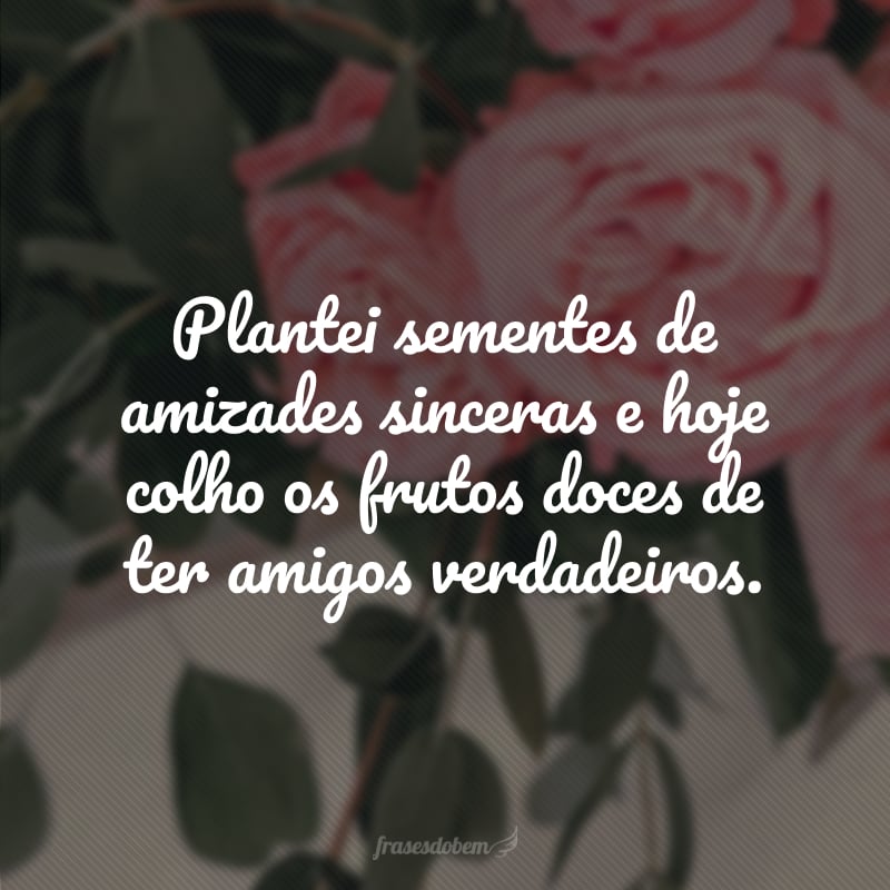 Plantei sementes de amizades sinceras e hoje colho os frutos doces de ter amigos verdadeiros.