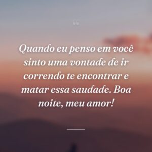 Quando eu penso em você sinto uma vontade de ir correndo te encontrar e matar essa saudade. Boa noite, meu amor!