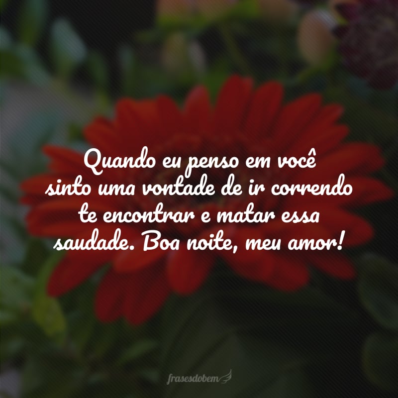 Quando eu penso em você sinto uma vontade de ir correndo te encontrar e matar essa saudade. Boa noite, meu amor!