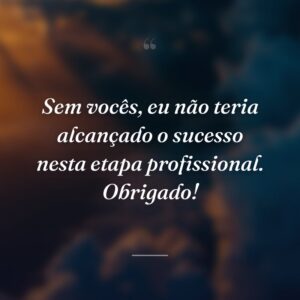 Sem vocês, eu não teria alcançado o sucesso nesta etapa profissional. Obrigado!