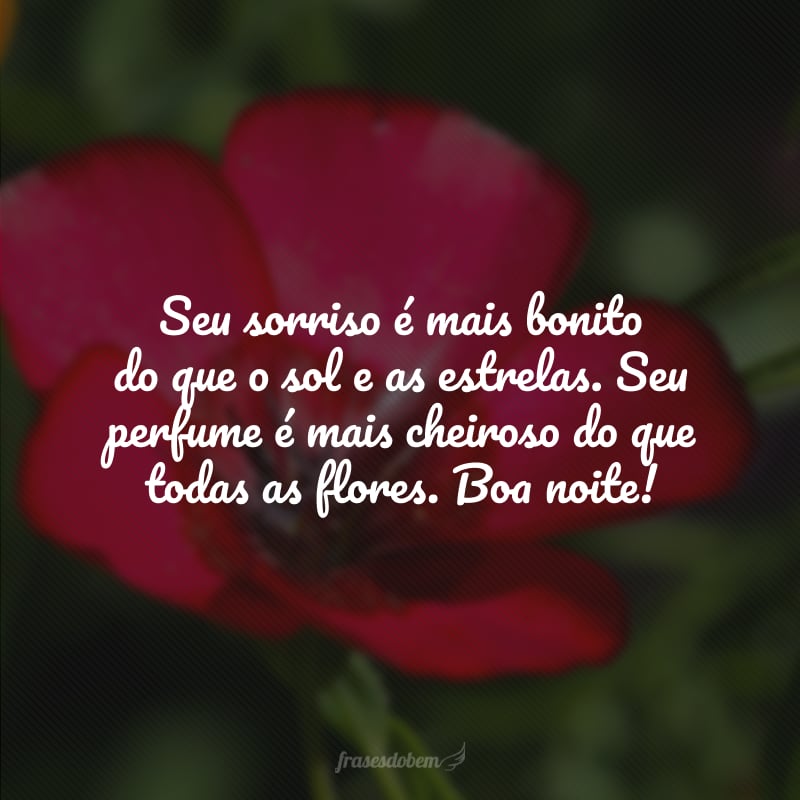 Seu sorriso é mais bonito do que o sol e as estrelas. Seu perfume é mais cheiroso do que todas as flores. Boa noite!