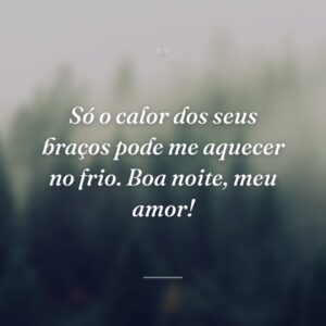 Só o calor dos seus braços pode me aquecer no frio. Boa noite, meu amor!