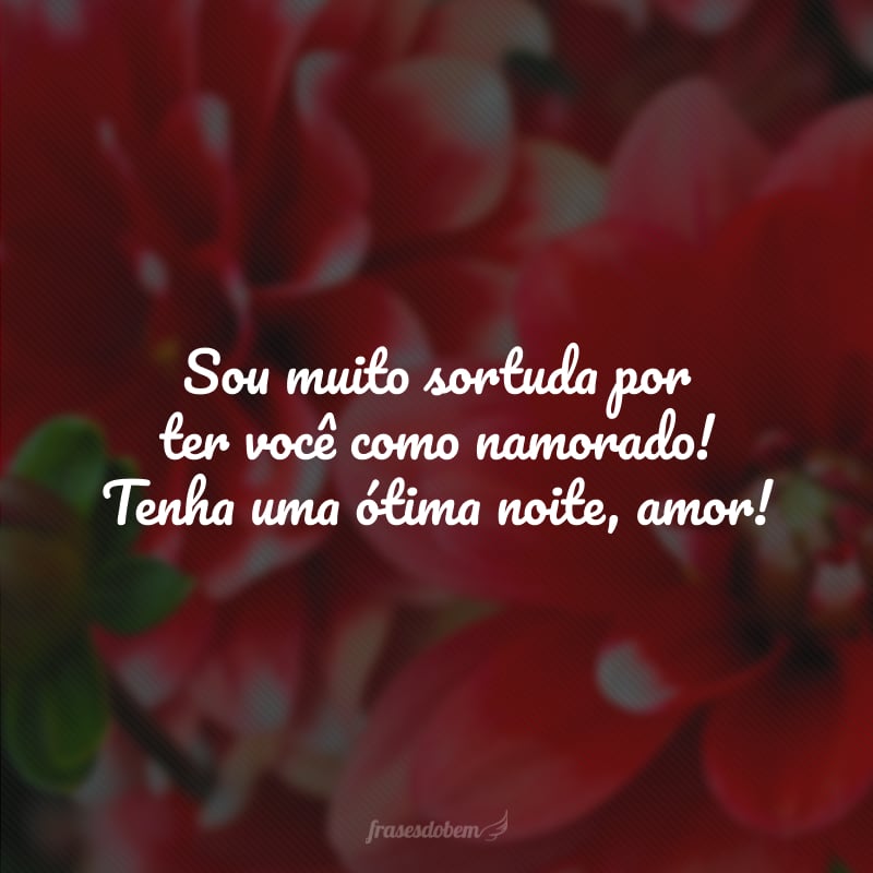 Sou muito sortuda por ter você como namorado! Tenha uma ótima noite, amor!