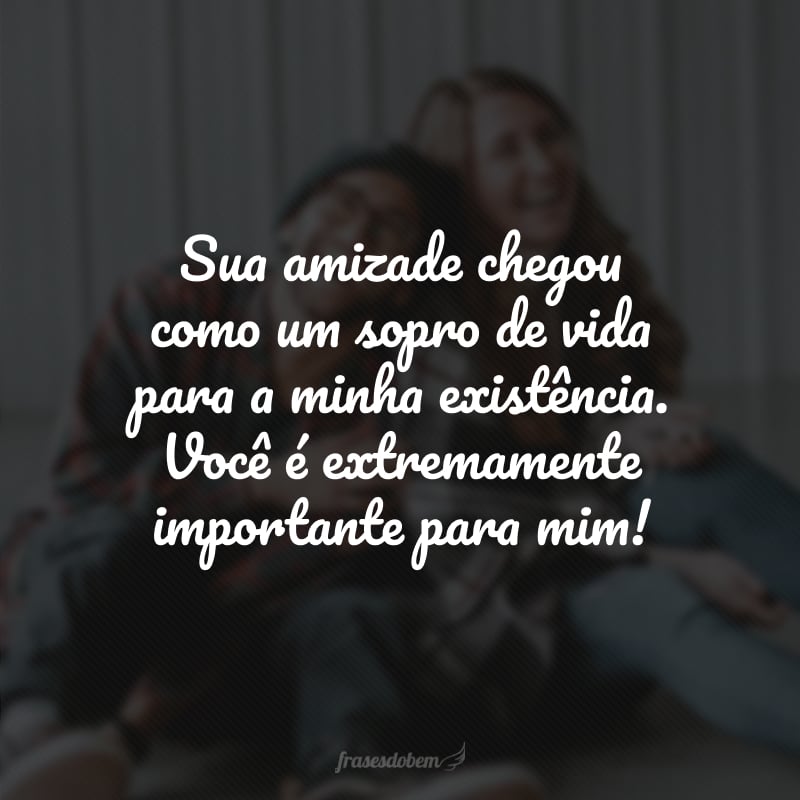 Sua amizade chegou como um sopro de vida para a minha existência. Você é extremamente importante para mim! 