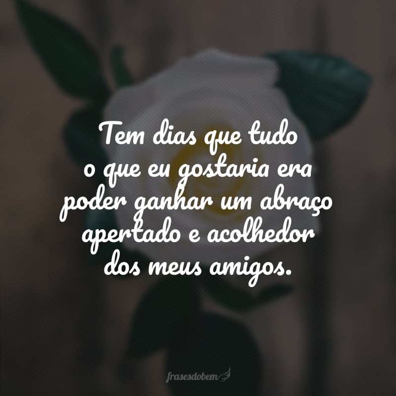 Tem dias que tudo o que eu gostaria era poder ganhar um abraço apertado e acolhedor dos meus amigos.