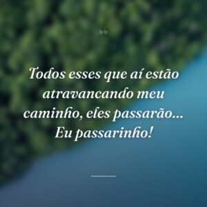 Todos esses que aí estão atravancando meu caminho, eles passarão… Eu passarinho!