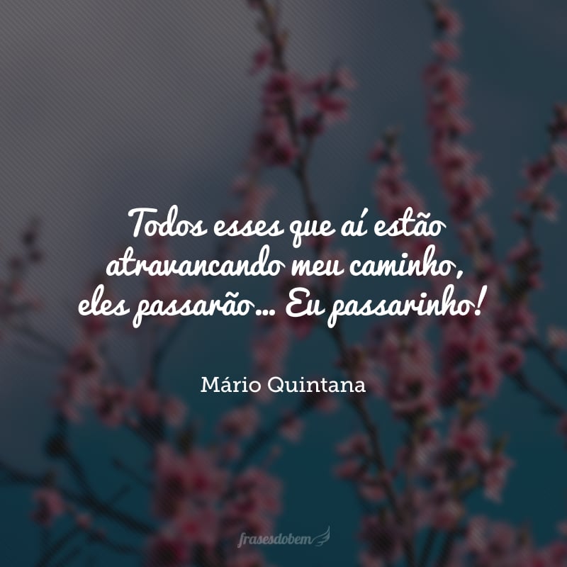 Todos esses que aí estão atravancando meu caminho, eles passarão… Eu passarinho!