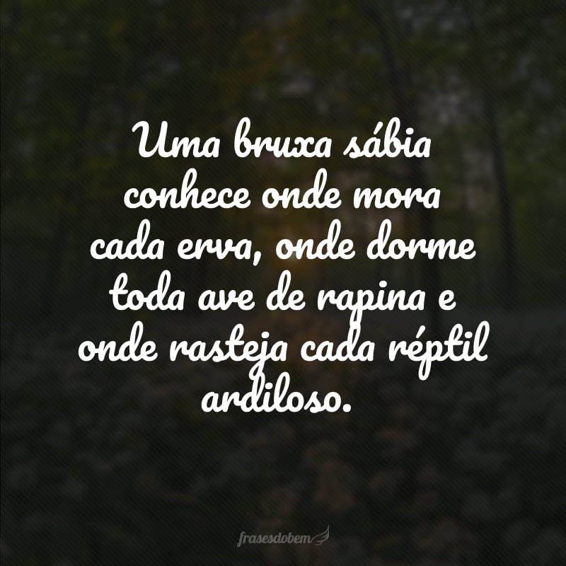 Uma bruxa sábia conhece onde mora cada erva, onde dorme toda ave de rapina e onde rasteja cada réptil ardiloso.
