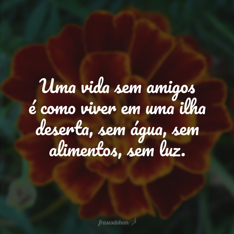 Uma vida sem amigos é como viver em uma ilha deserta, sem água, sem alimentos, sem luz.