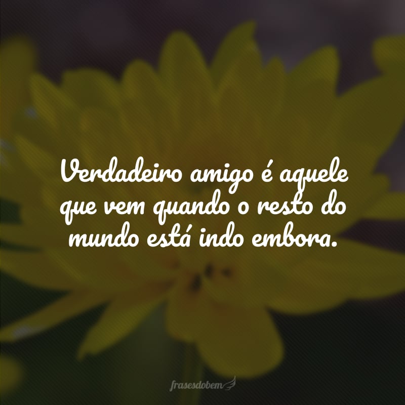 Verdadeiro amigo é aquele que vem quando o resto do mundo está indo embora.