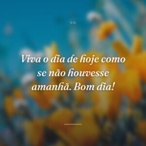 Viva o dia de hoje como se não houvesse amanhã. Bom dia!