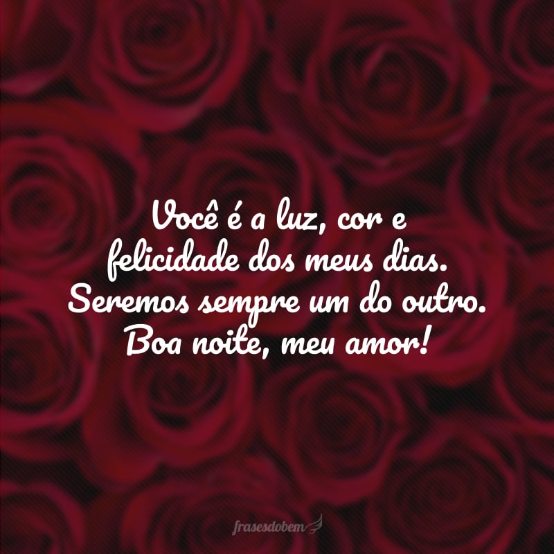 Você é a luz, cor e felicidade dos meus dias. Seremos sempre um do outro. Boa noite, meu amor!